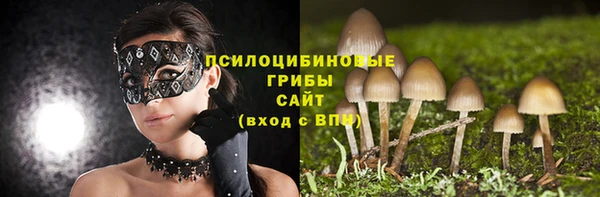 прущий лед Михайлов