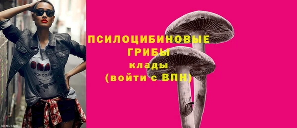 прущая мука Михайловск