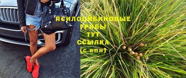 прущий лед Михайлов